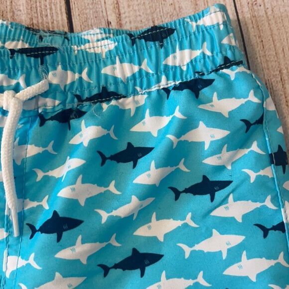 Janie & Jack Infant Swim Shorts - Picture 2 of 5